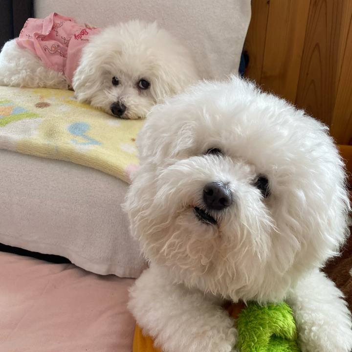 7df2e6cd e70c 41de a6cd 7d66d0f8cd37 1615690938343