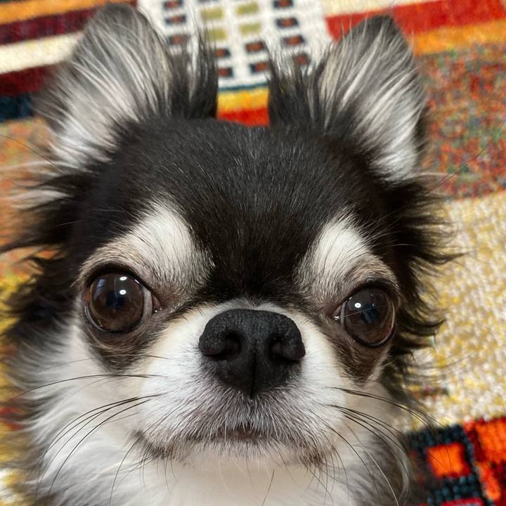 7df2fbfa da28 4530 8fbc cda93232d535 1679782767362