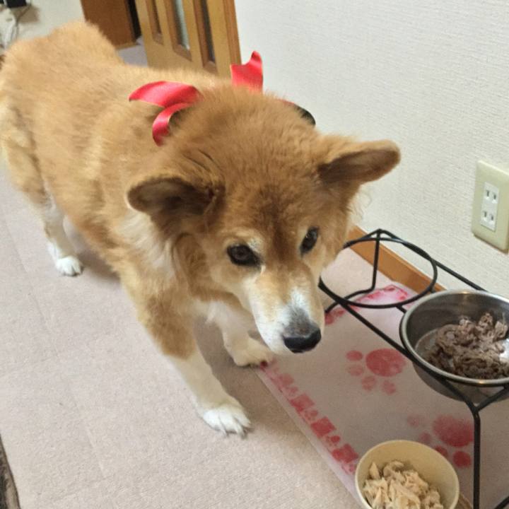 7df313b1 a33b 4c94 8d84 e3da6b90a3b2 1699607282124