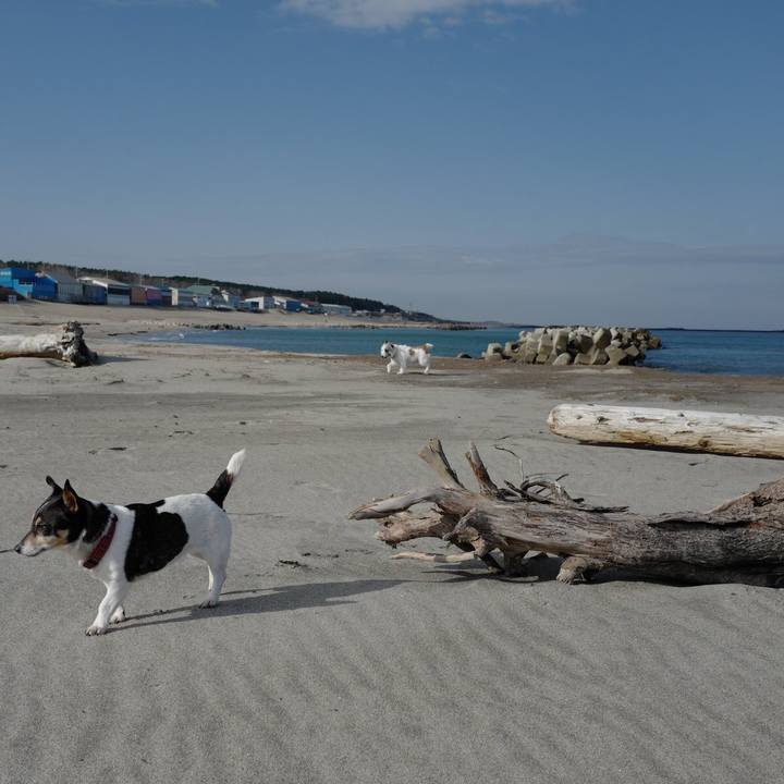 7df330d7 68f5 4716 b1ed bfffef6d116f 1553487197785