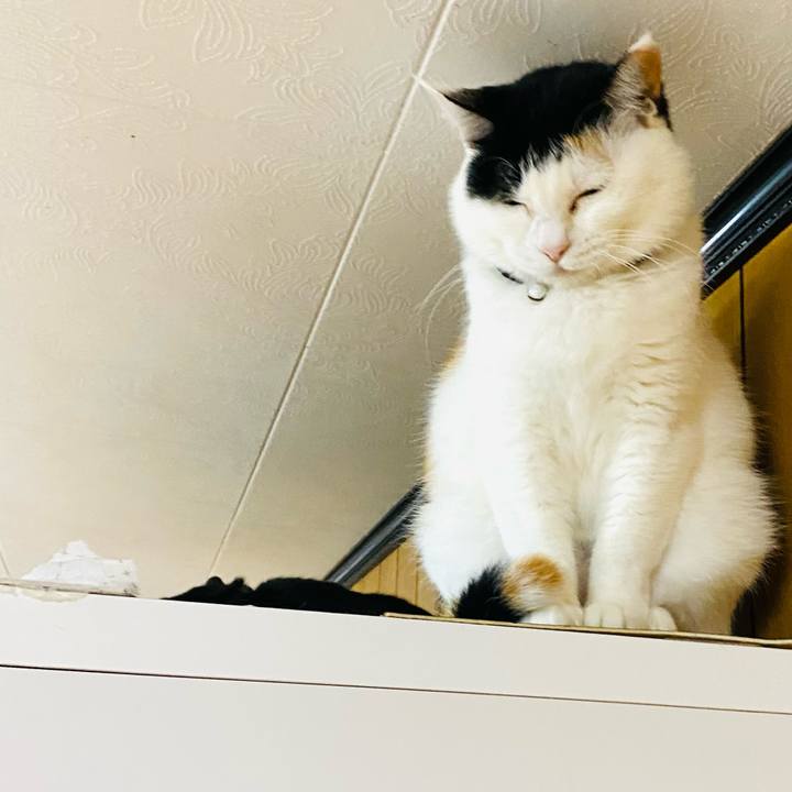 7df34218 ce2a 41d9 8acd a5143f3277b2 1680824866052