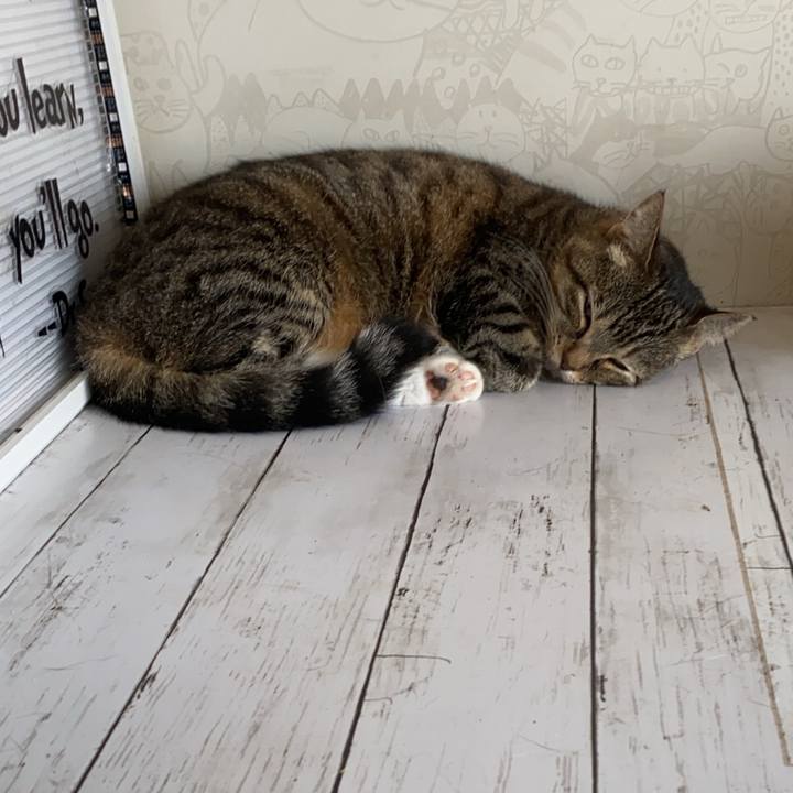 7df37b9c c850 49d3 be65 ba7e409c8e7a 1596844222931