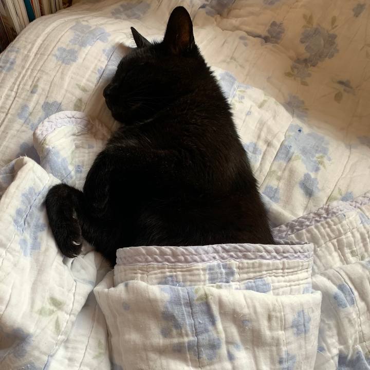 7df39792 3658 4f9d 99fc 18bb103ab6dd 1561769689668