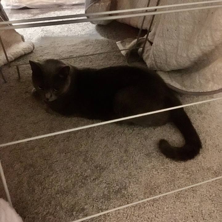 7df3bde6 3380 438c 855e 41486ba71fe1 1656030512665