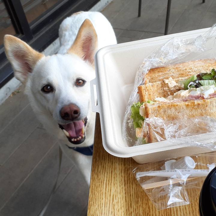 7df3c374 6267 47a7 a24e 84ce5c07438a 1683346265503