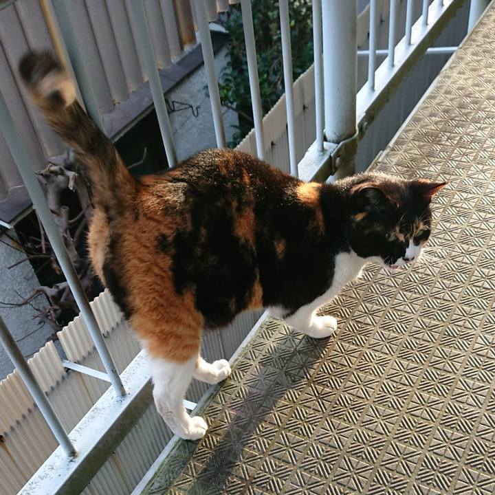 7df3ebfe 2ba5 4523 a7e1 977019b3d1c8 1583882959184