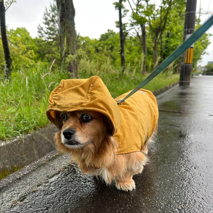 7df3f5de 340f 4fdd 925f 25da7f7bb158 1746826115630