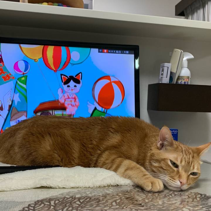 7df405d1 1531 4a44 a875 b7e1fad6564f 1613085330384