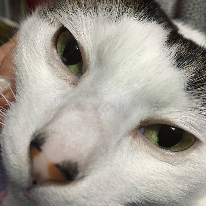 7df41f06 f9a9 4f16 bcf4 5104e8dee395 1512565181243