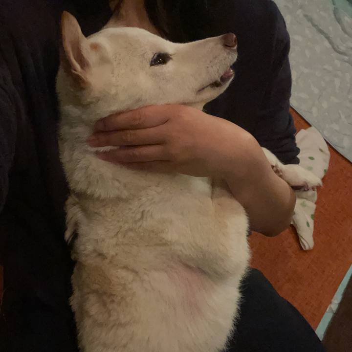 7df4212e 8b10 4e1b 9a5b 1ccddd53b413 1669040580586