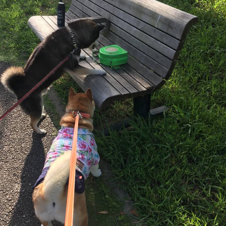 7df44d9a 52b8 4654 a5e3 4c33ffb29bcb 1565048913948