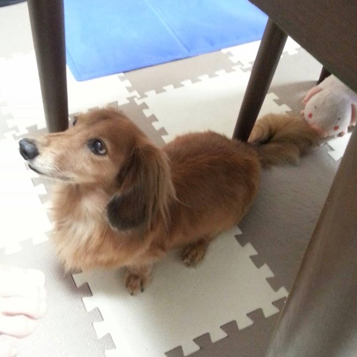 7df494f5 198d 4c12 bdb8 913114fd9404 1571150872069