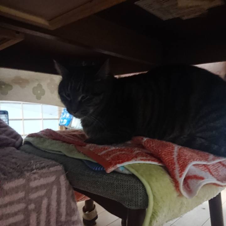 7df4b1fa 124c 4a08 8dca e76444646785 1642279421991