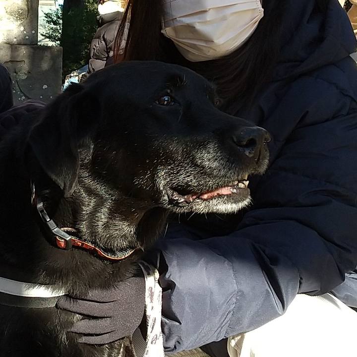 7df51363 a585 4361 9954 3720bd8e66eb 1691813431495