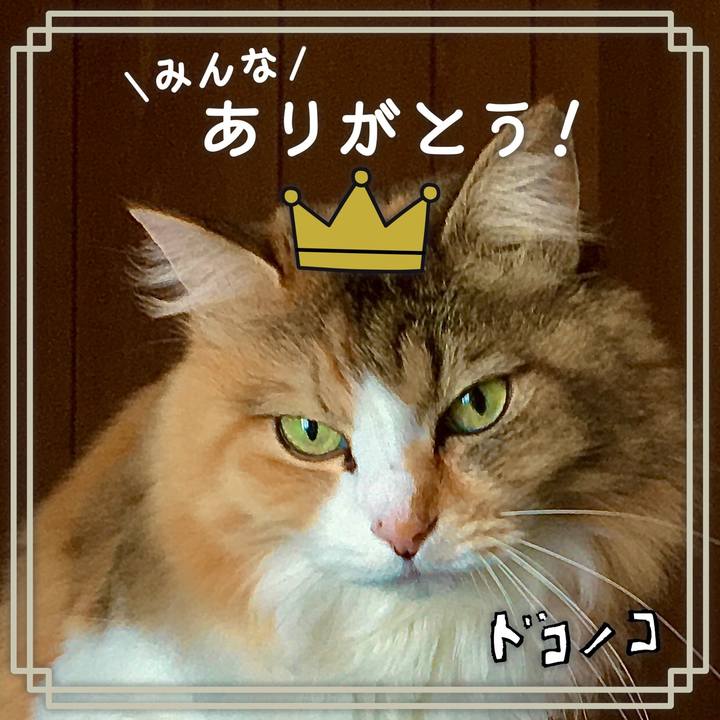 7df5345e e19c 430c ae8d 7031209b5a13 1622866397509