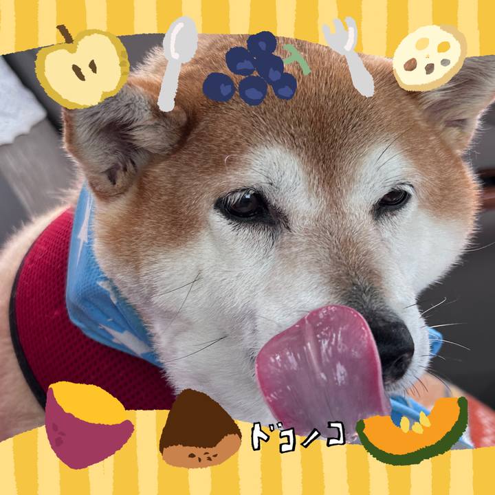 7df561d9 30ed 4fbf ac2b 15a7e017bd9d 1726920596346