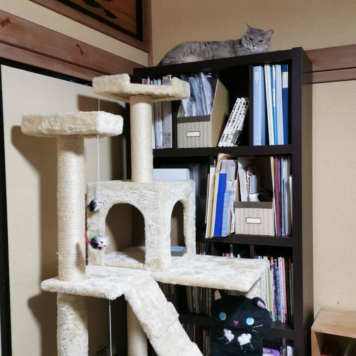 7df56657 d564 4577 bc2d f1b97e14d05d 1658806542000