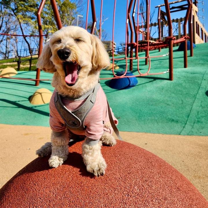 7df5725e ddf0 4ed7 9356 bdc237058dc4 1768534996015