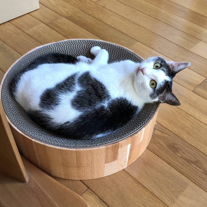 7df58ee9 6250 4104 a631 f23f5ddcbc00 1627087908867