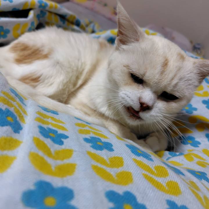 7df5bc8f 03fd 4a09 a29b 9210f9161ed4 1727018214939