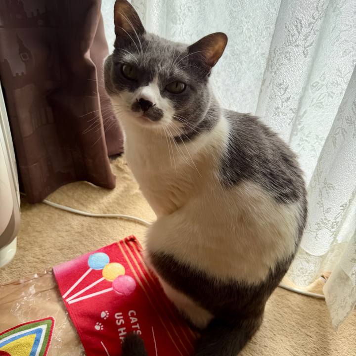 7df5cfc1 042d 4e28 8ce5 25eeae24e9a9 1772613992296