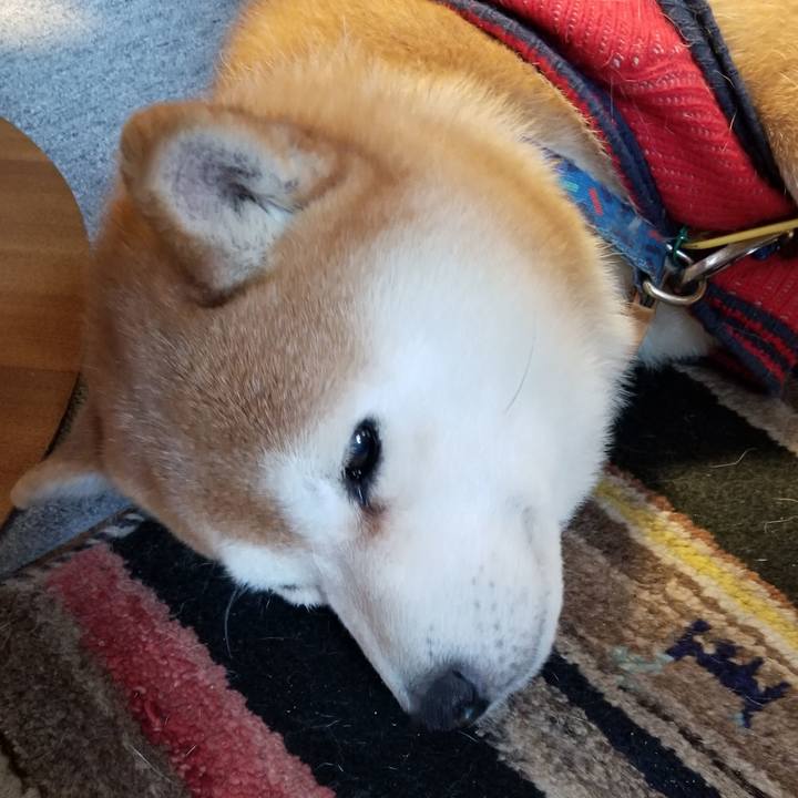 7df5df97 72af 428d 90ce cbecbc00c152 1582758405336