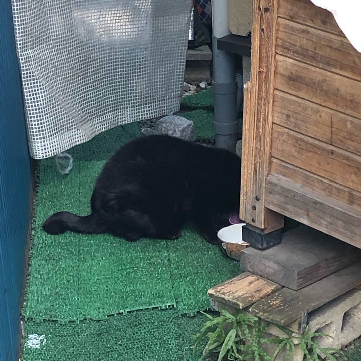 7df5f0ed b2ae 486a 8224 da0836d17421 1551748950630