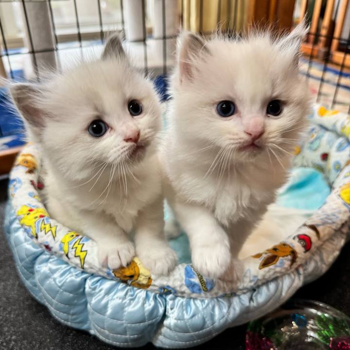 7df6187d af67 4d55 90c3 dc8246de067d 1750691942060