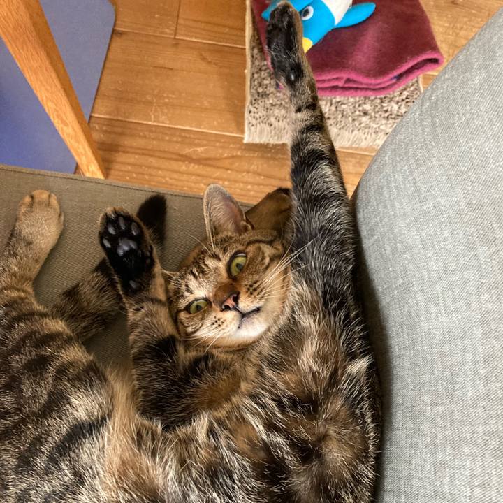 7df64f0c cccf 4954 8125 05e0bed42e35 1686404394425