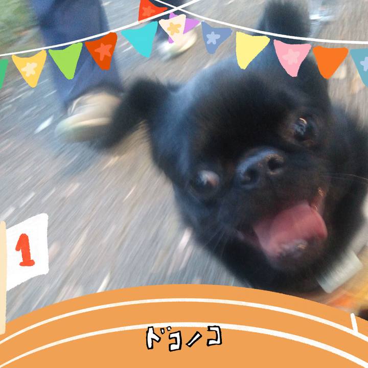 7df66bdf 1a97 4bce be0e 5d98a23e12d2 1761225724139