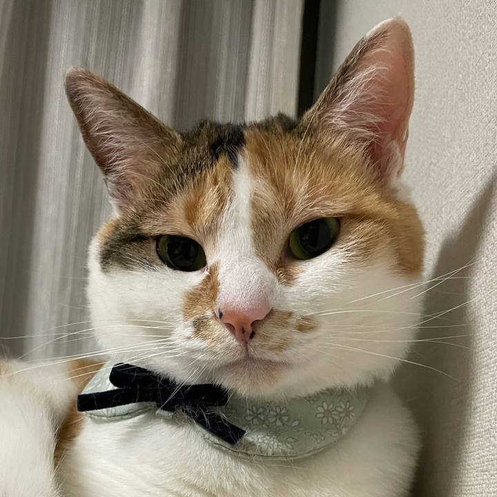 7df6dc2b 763c 4adf 9e03 2e566f88480f 1684593680314