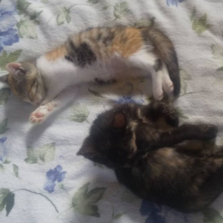 7df6ec81 6ef2 4dcf b61b d628f9aad552 1721431315878