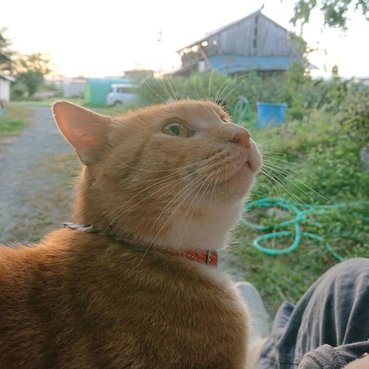 7df6ecd7 b68d 47eb 9928 bf67861c851d 1569445813338