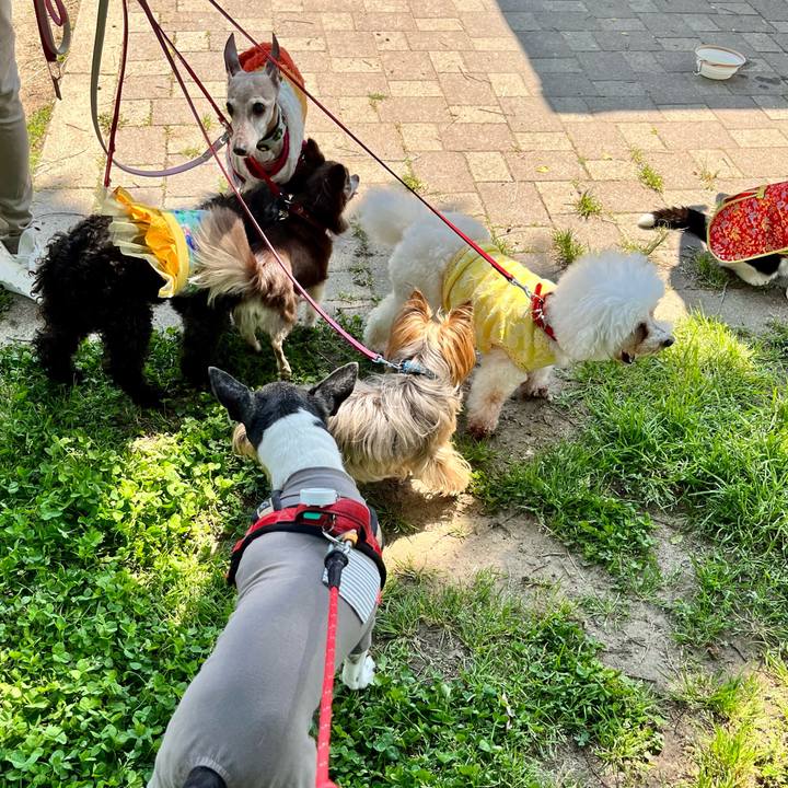 7df6ff3d 68fa 4332 819b 6671c1626bff 1651717223428