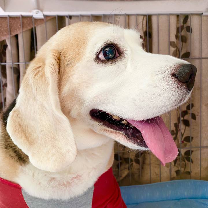 7df6ffbb 7b44 438a 9da3 9654cd9bc46d 1655010208965