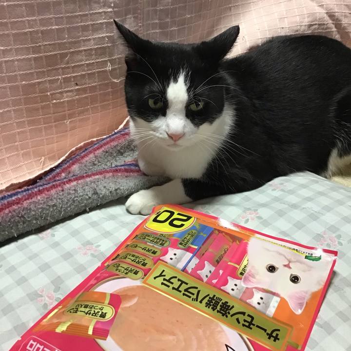 7df75b1f 4007 40a7 ab92 de8cbd7d129a 1729661599125