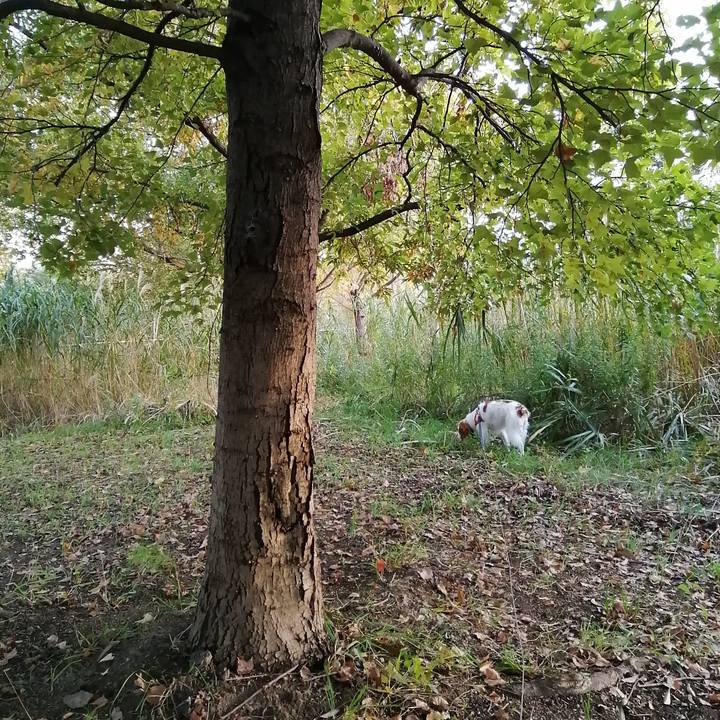 7df75d08 1250 4c35 854e a13a227cf2c6 1574121386302