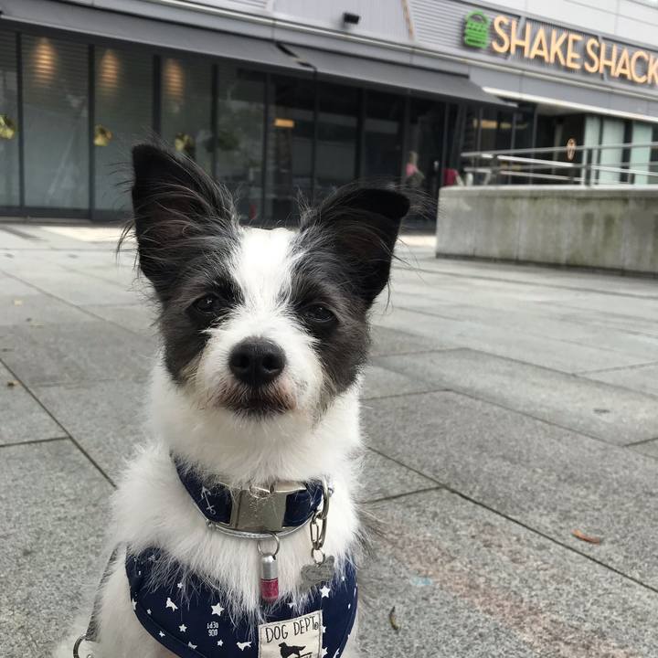 7df796da 2553 44bc bc0c 9f0f4231f1ee 1538277458733