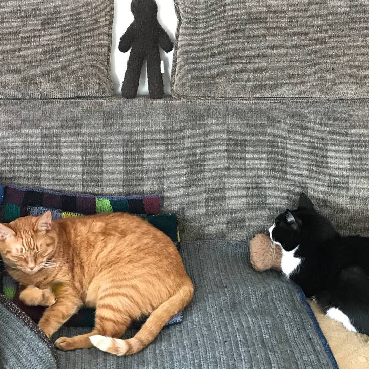 7df79cb1 71eb 46cf 89d8 5fd9afe31530 1574997564058