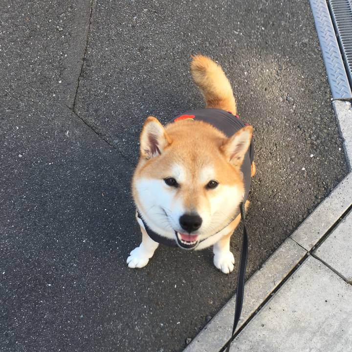 7df7b47c 0dd8 4427 9765 eb182ea8a1bf 1540859545363