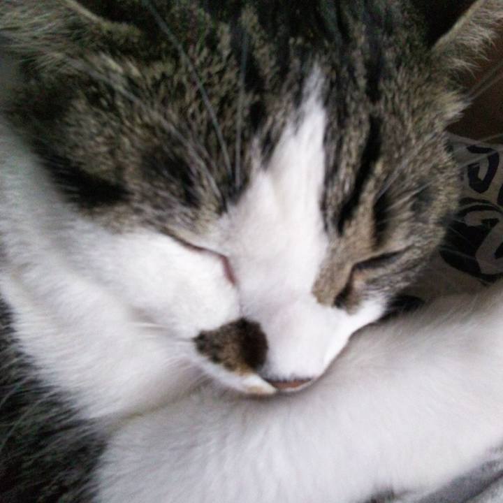 7df7d151 4bff 4f56 bd33 570a5761ed64 1659243457265