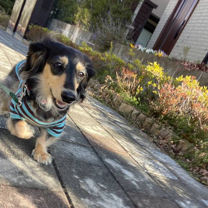 7df7e08a e95e 4d7e 8652 b48b453d82a9 1768629566154