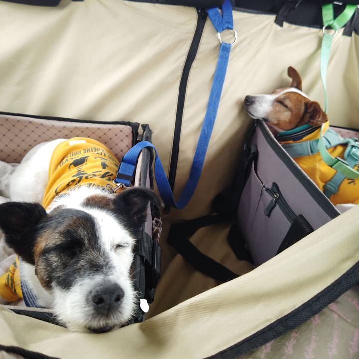 7df81d42 3049 4eac ba25 23d6d3b1d2f2 1730024625659