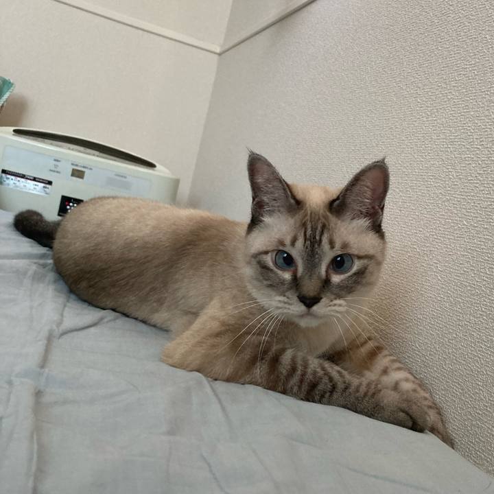 7df83287 f50f 4f95 85d3 461ed8cac62a 1695081436566