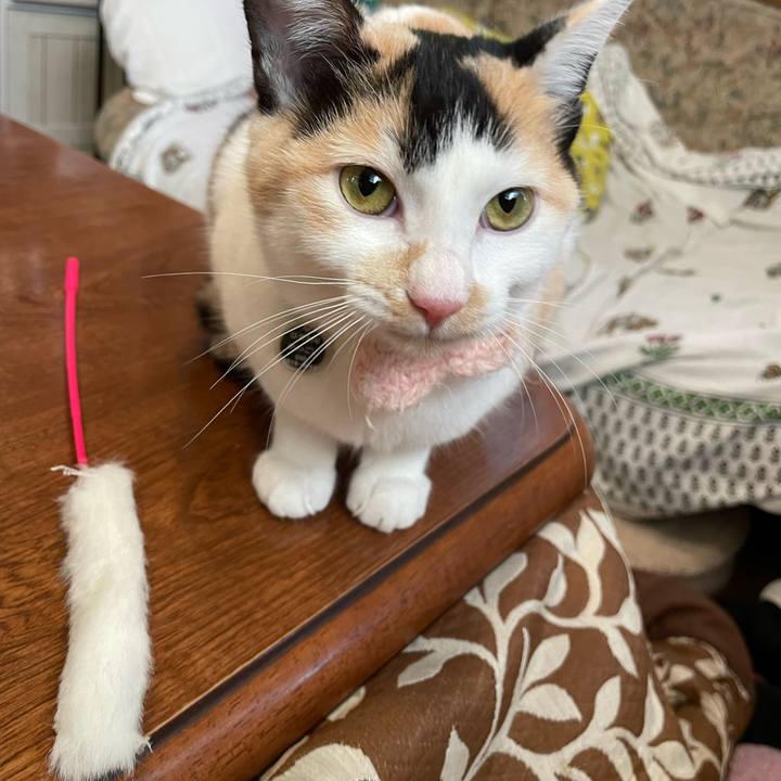 7df86f29 aebe 4f2a 8fa0 b3335860b658 1669069570639