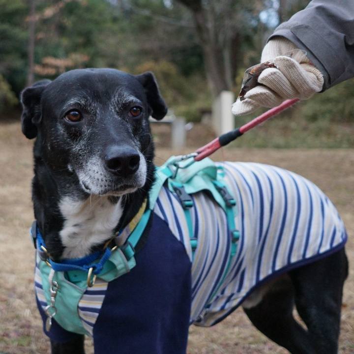 7df877a8 18f2 426c 914b 8c3c12f585aa 1770856462344