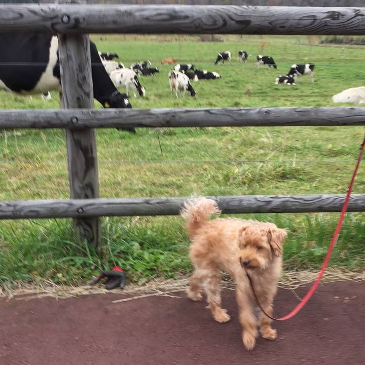 7df88a84 0c1d 4df8 80d9 58fe8d772663 1508478895809