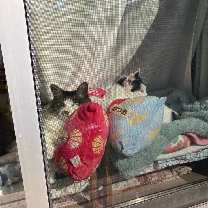 7df890de e1d5 4756 b012 b7d697d77c13 1769916590965