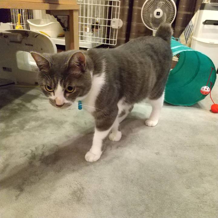 7df8957f 8166 4c13 a9d0 bb0541c9c620 1601644131626