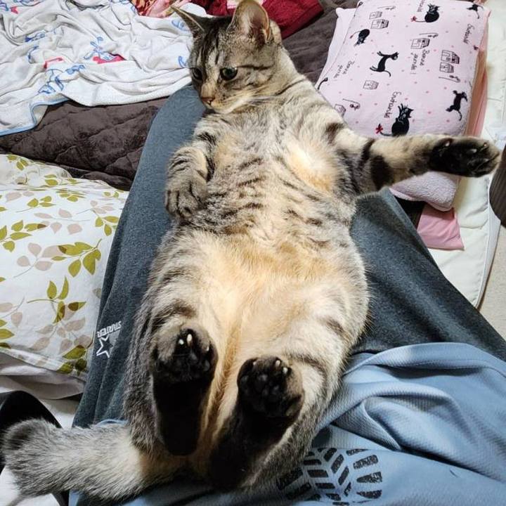 7df8ca4f 8baf 45ca a6f3 8ac31968fe8a 1722567645614